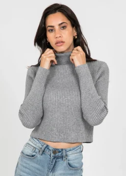 Pulls L Cardigans^Outfitbook Pull col roulé côtelé gris GRISCLAIR